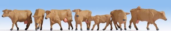NOC15727 - Vaches , brunes - 1