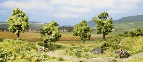 NOC21001 - 4 arbres fruitier - 7.5 cm - 1