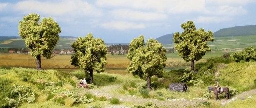 NOC21002 - 4 Pommiers avec fruits - 7.5 cm - 1