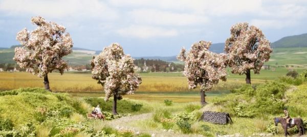 NOC21003 - 4 Arbres fruitier - 8 cm - 1