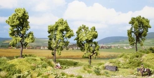 NOC21004 - 4 Poirier - 11.5 cm - 1