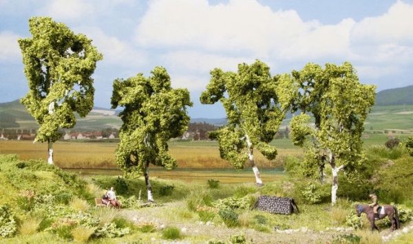 NOC21005 - 4 Bouleaux - 11.5 cm - 1