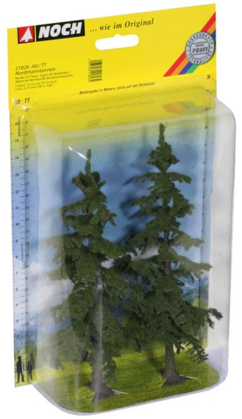 NOC21826 - Lot de 2 sapins NORDMANN - 1