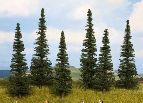 NOC24255 - Sapins 6 pièces 16 à 20 cm - 1