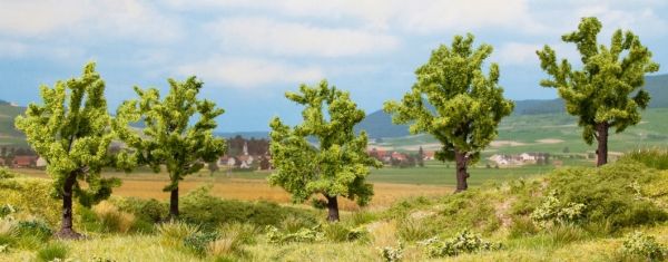 NOC25001 - 5 Arbres fruitier verts - 8 cm - 1