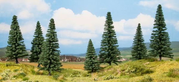 NOC25007 - 7 Sapins - 8 à 15 cm - 1