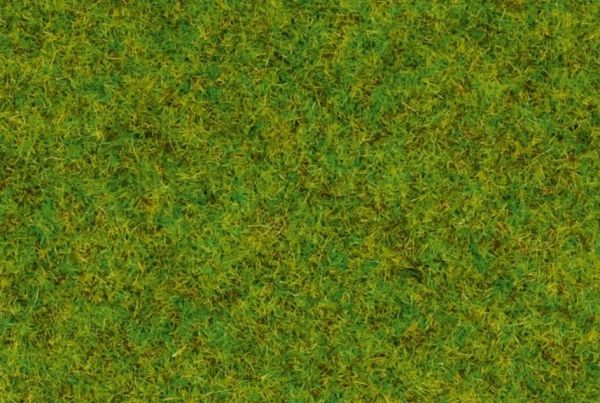 NOC50210 - Herbe , vert moyen - 100 g - 2.5 mm - 1