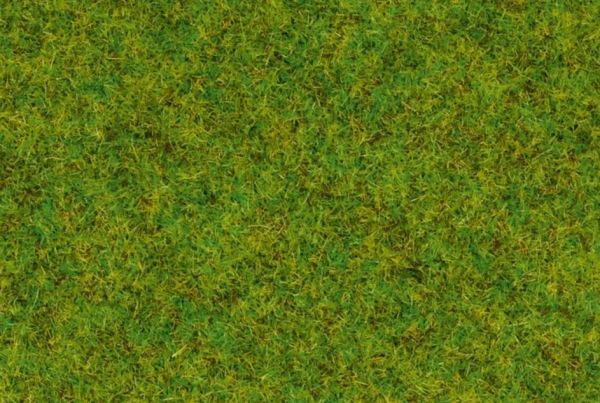 NOC50210 - Herbe , vert moyen - 100 g - 2.5 mm - 1