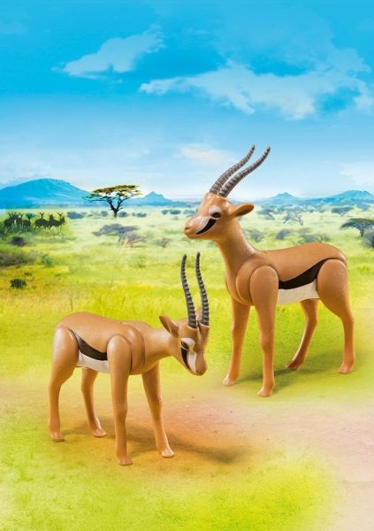 PLAY6942 - Gazelles - 1