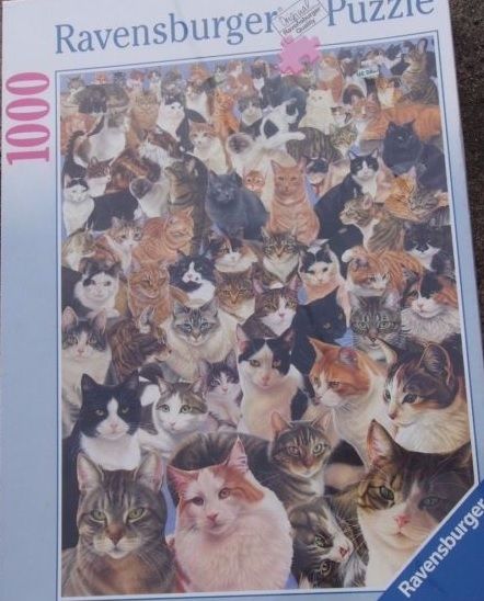 RAV15522 - Puzzle 1000 Pièces Les chats en abondance 20 x 27cm - 1