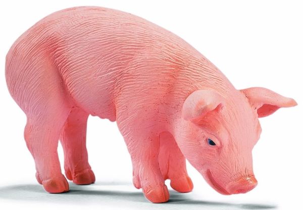 SHL13290 - Porcelet, Mangeant - 1