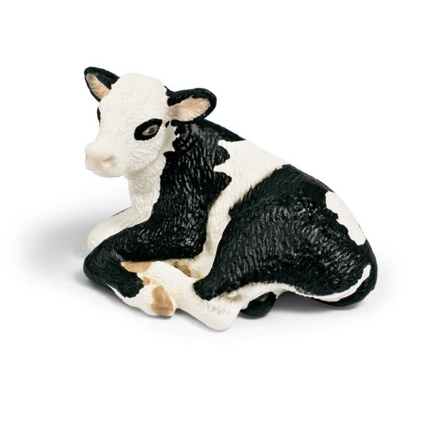 SHL13639 - Veau Holstein - Couché - 1