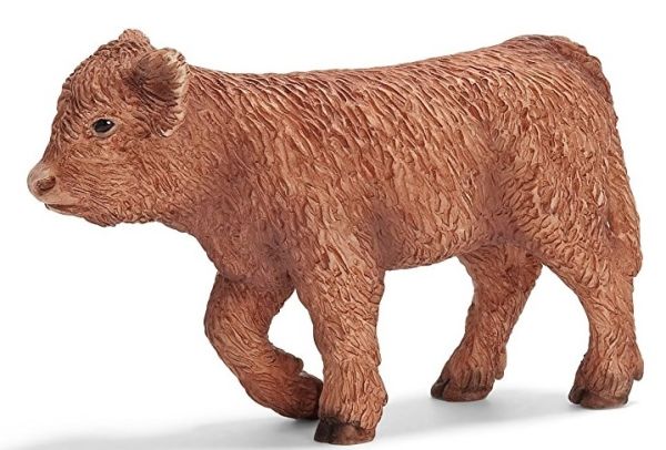 SHL13660 - Veau Highland - 1