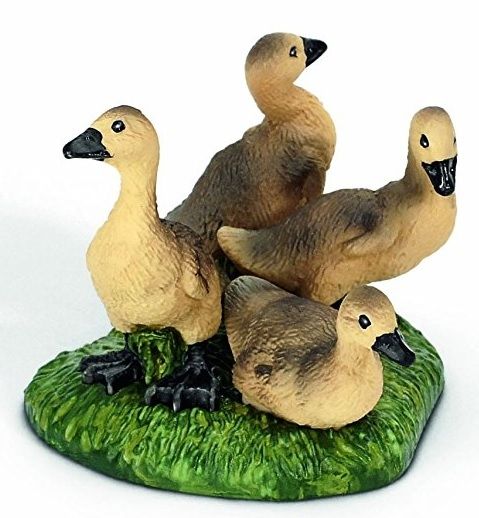 SHL13680 - Oisons Cendrés - 1