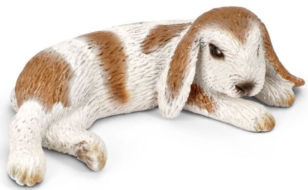 SHL13697 - Lapin Bélier nain couché - 1