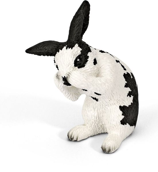 SHL13698 - Lapin Faisant sa Toilette - 1