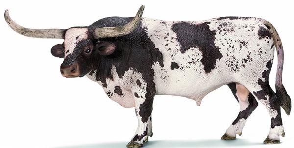 SHL13721 - Taureau Texas Longhorn - 1