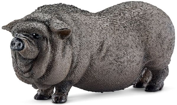 SHL13747 - Cochon du Vietnam - 1