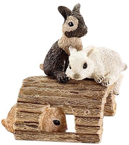 SHL13748 - Jeunes lapins, jouant - 1