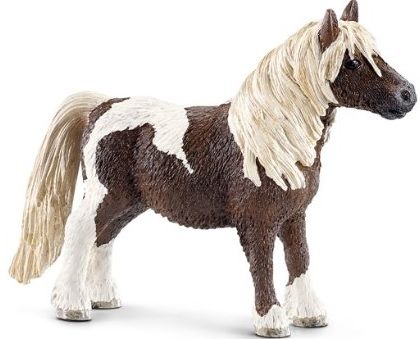 SHL13751 - Hongre poney Shetland - 1