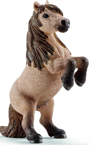 SHL13775 - Mini hongre poney Shetland - 1