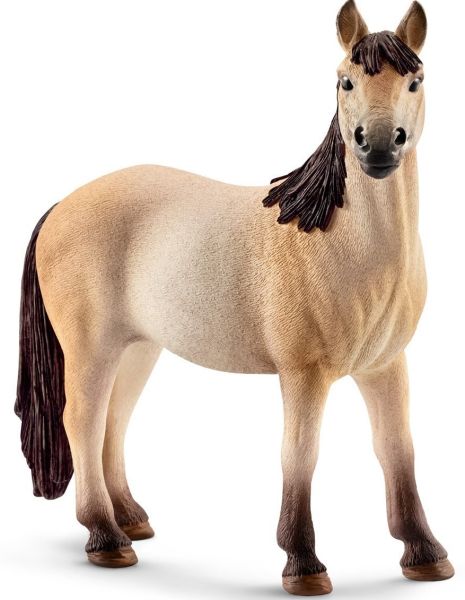 SHL13806 - Jument mustang - 1