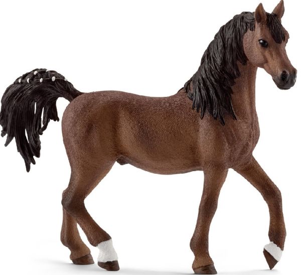 SHL13811 - Etalon arabe - 1