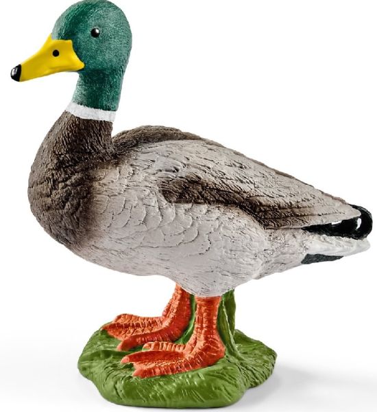 SHL13824 - Canard - 1