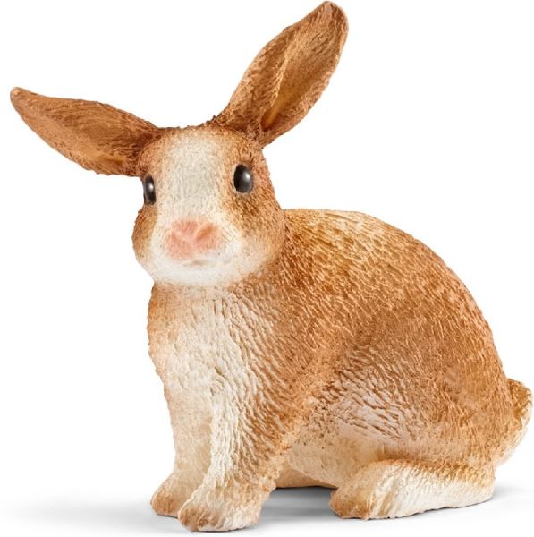 SHL13827 - Lapin - 1