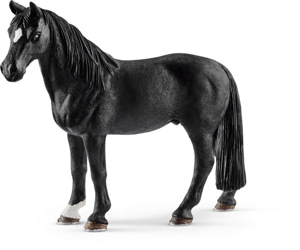 SHL13832 - Hongre Tennessee Walker - 1