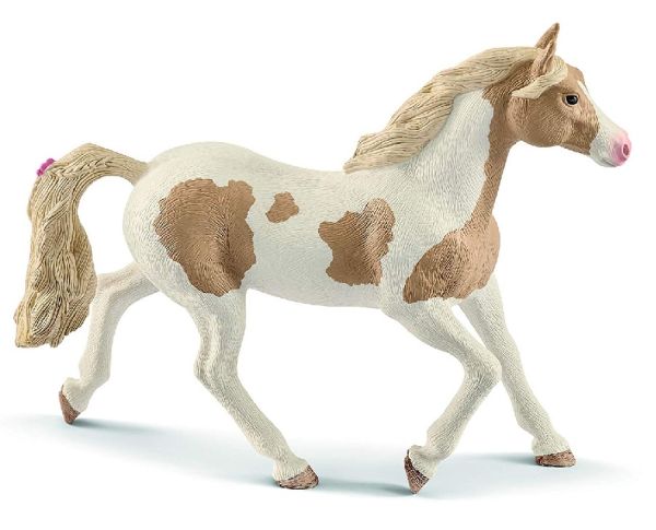 SHL13884 - Jument paint Horse - 1