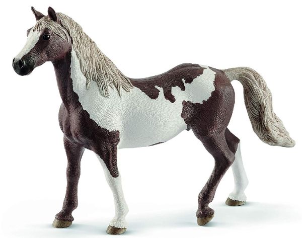 SHL13885 - Hongre Paint Horse - 1