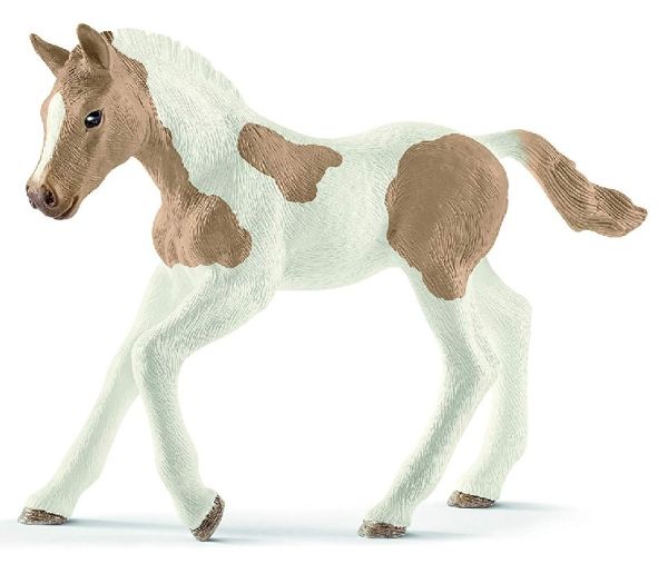 SHL13886 - Poulain Paint Horse - 1