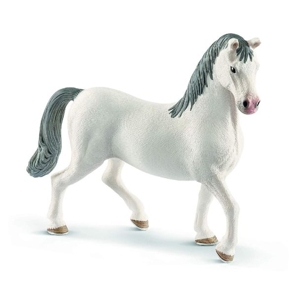 SHL13887 - Etalon Lipizzan - 1