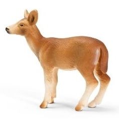 SHL14254 - Biche De Virginie - 1