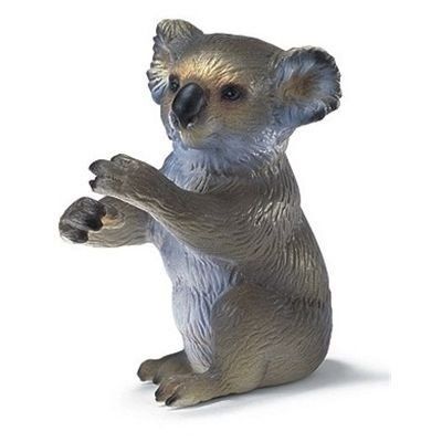 SHL14303 - Koala - 1