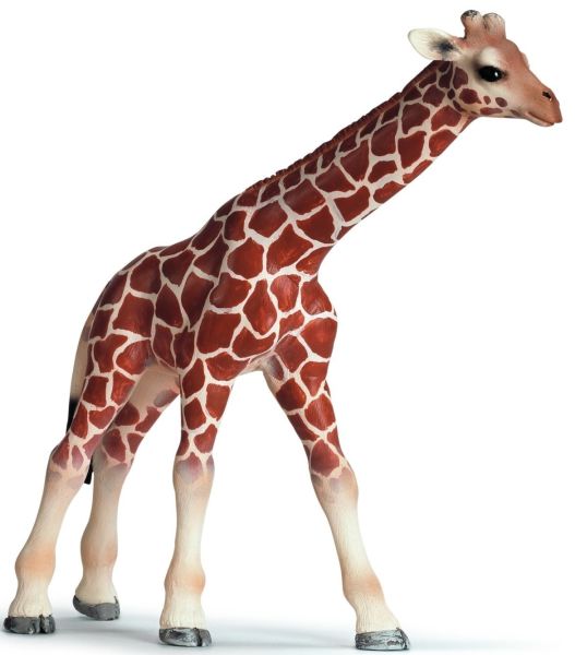 SHL14321 - Bébé Girafe - 1