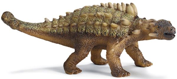 SHL14505 - Saichania - 1