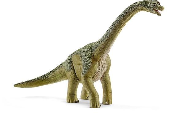SHL14581 - Brachiosaure - 1