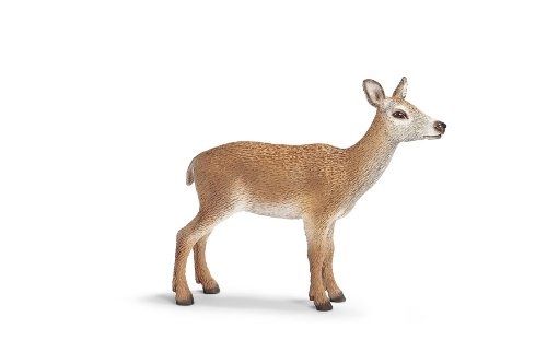 SHL14630 - Biche Rouge - 1