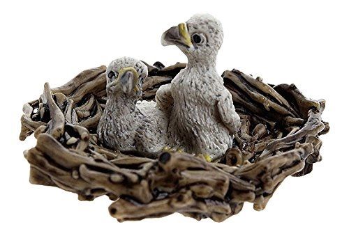 SHL14635 - Aiglons dans leur Nid - 1