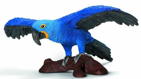 SHL14689 - Ara Hyacinthe - 1