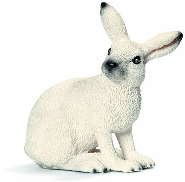SHL14692 - Lapin des Neiges - 1