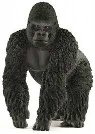 SHL14770 - Gorille  mâle - 1