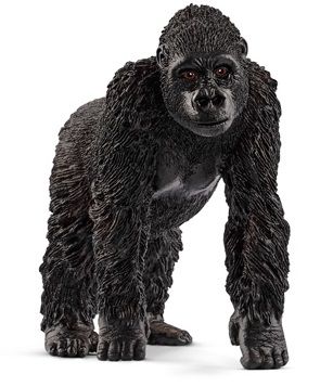 SHL14771 - Gorille , femelle - 1