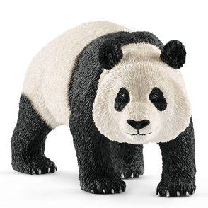 SHL14772 - Panda géant  mâle - 1