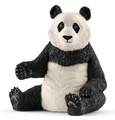 SHL14773 - Panda Géant , Femelle - 1