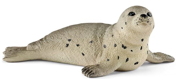 SHL14802 - Jeune Phoque - 1