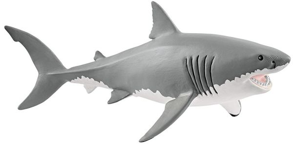 SHL14809 - Requin Blanc - 1