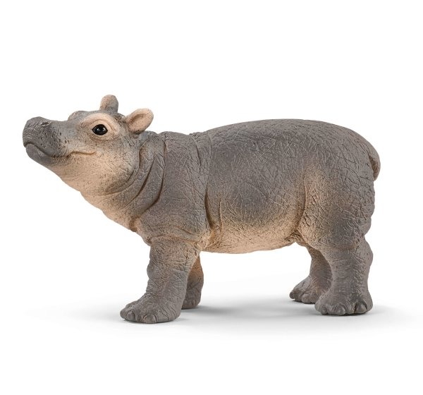 SHL14831 - Jeune Hippopotame - 1